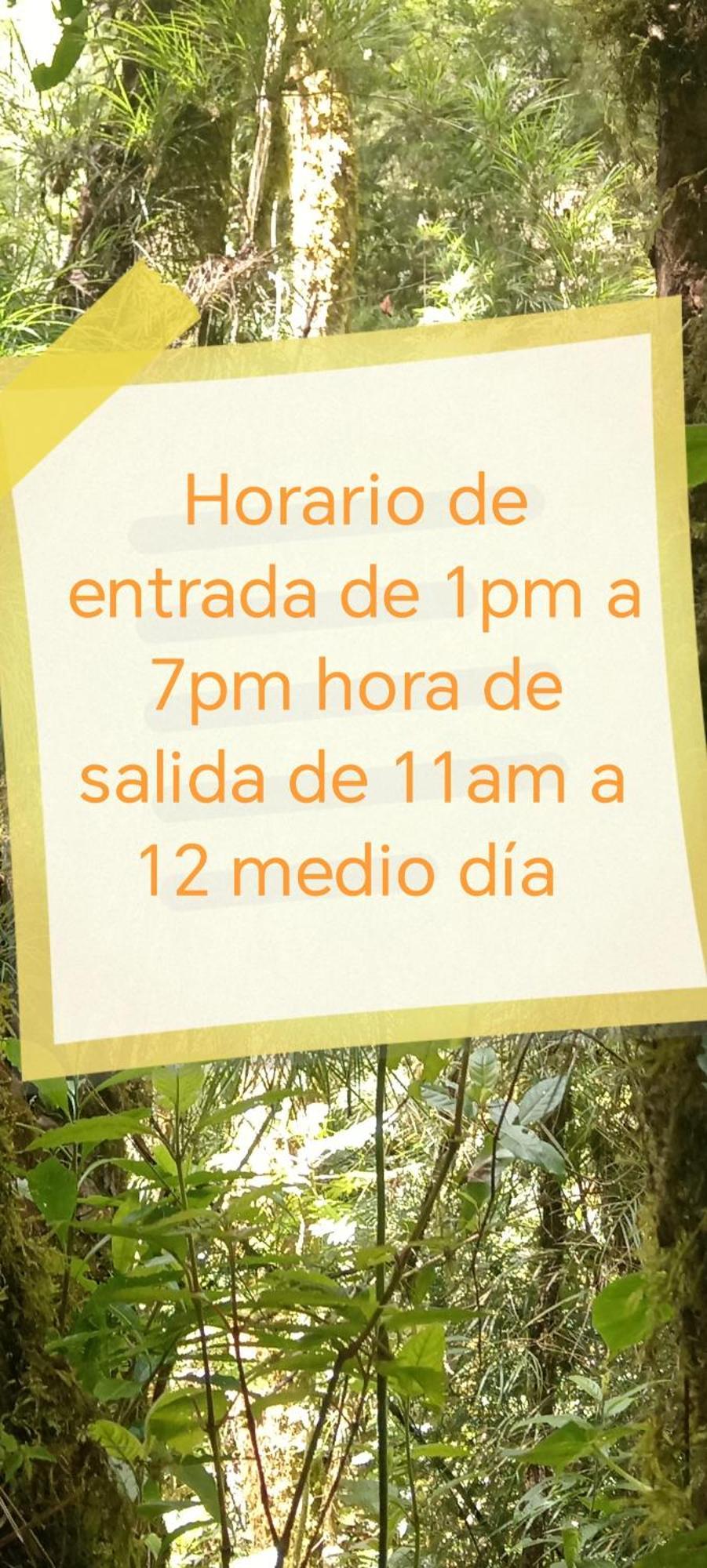 Miriam'S Quetzals Lodge San Gerardo de Dota Bagian luar foto